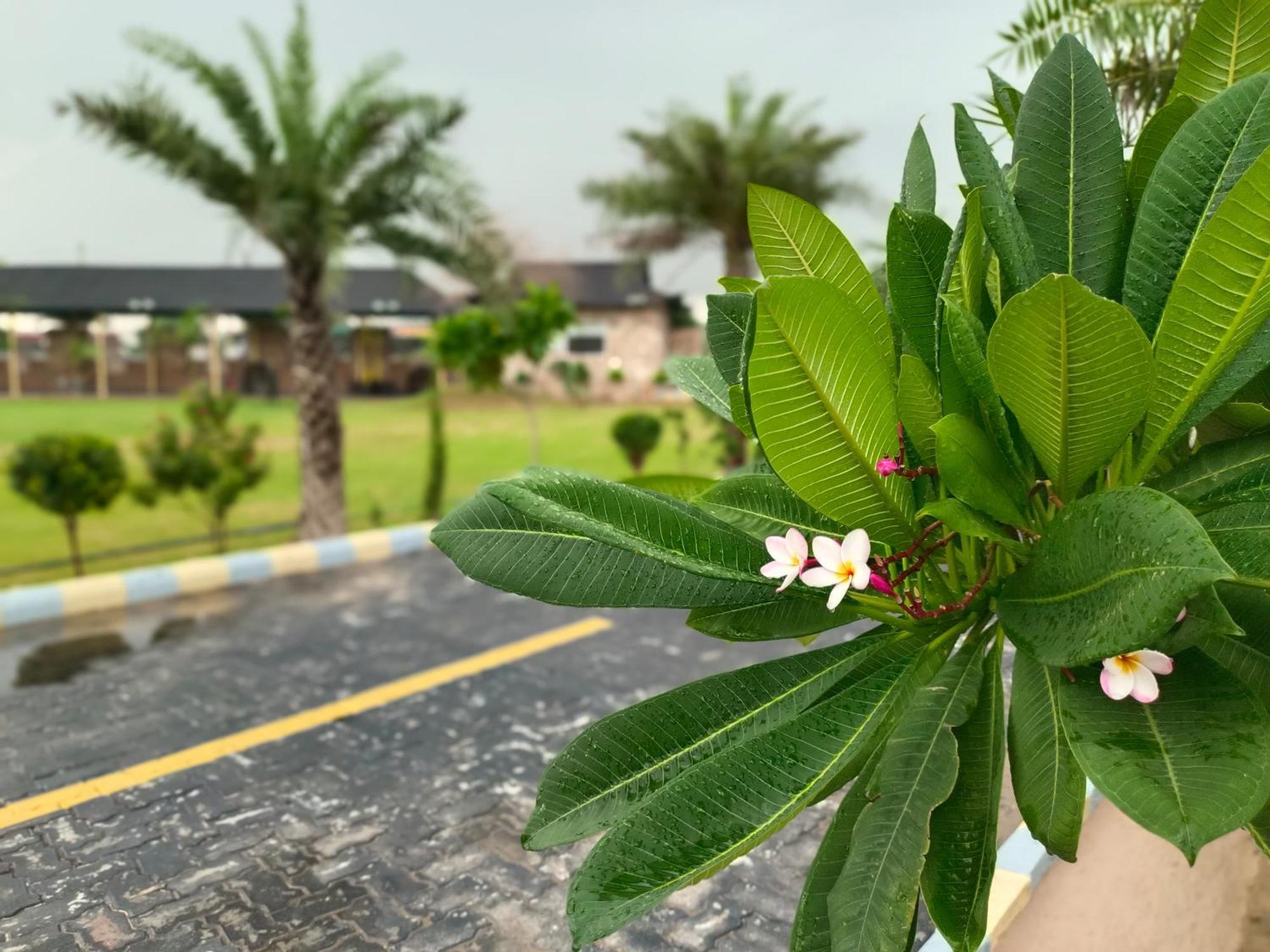 Royal Rajasthan Resort Sikar Exterior photo